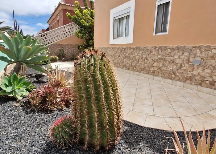 Sol Y Cactus Corralejo