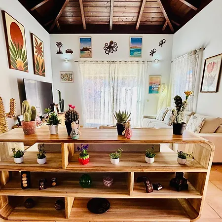 Vila Sol Y Cactus *